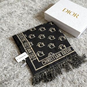 Dior Oblique Reversible Scarf in Black
